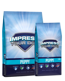 Impress Your Dog Puppy