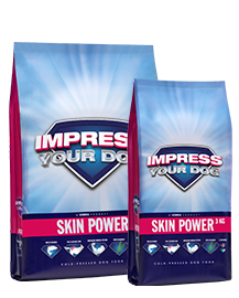 Impress Your Dog Skin Power